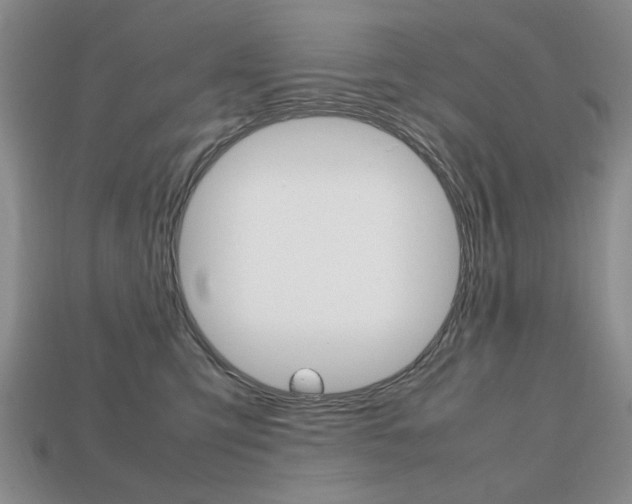 X0000113850423200909241009