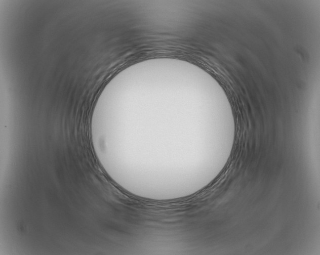 X0000113850425200909241009