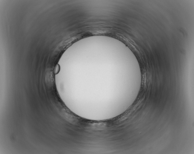 X0000113850426200909241009