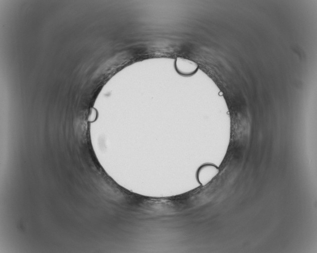 X0000113850427200909241009