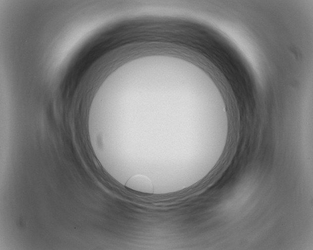 X0000113850431200909241009