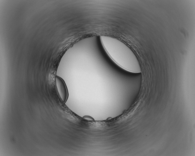 X0000113850432200909241009