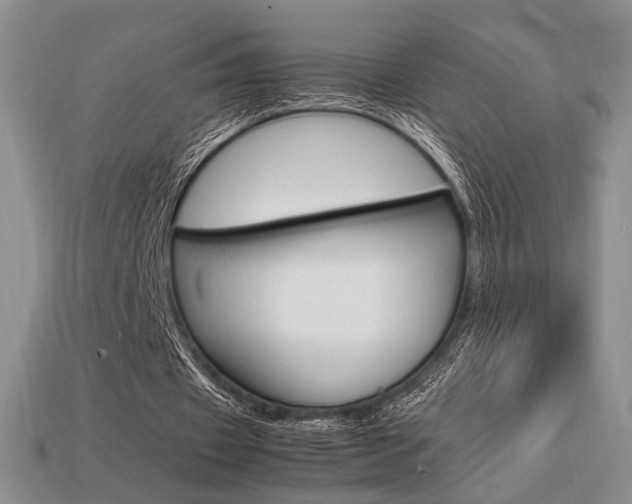 X0000113850433200909241008