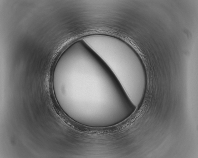 X0000113850434200909241008
