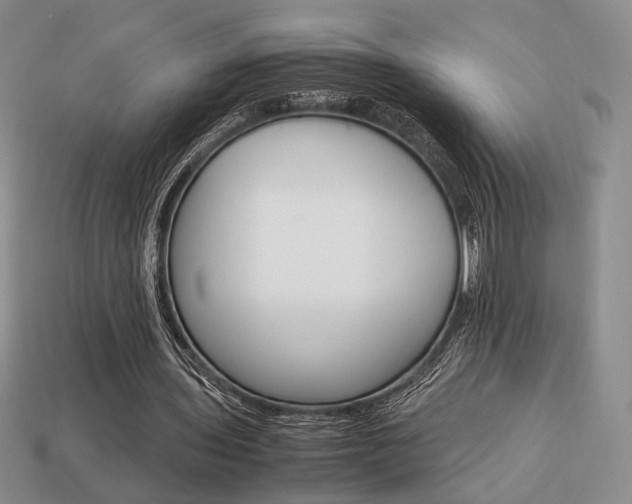 X0000113850435200909241008