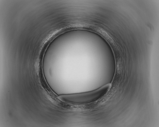 X0000113850436200909241008