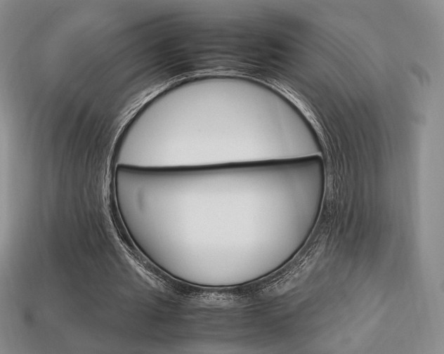 X0000113850437200909241008