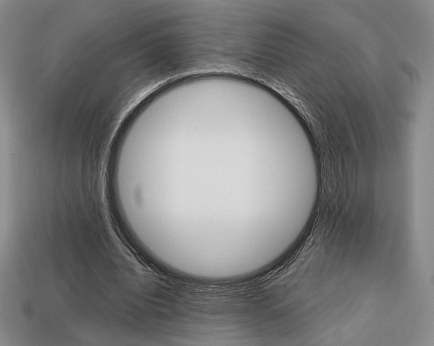 X0000113850440200909241008