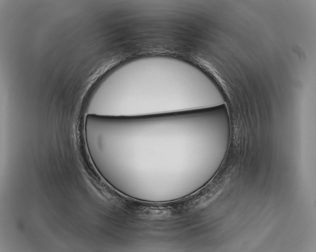 X0000113850443200909241008