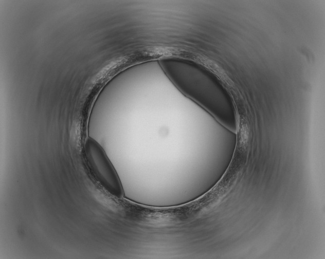 X0000113850444200909241008