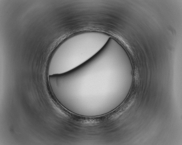 X0000113850445200909241008