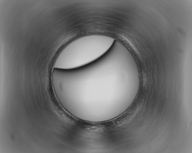 X0000113850447200909241008