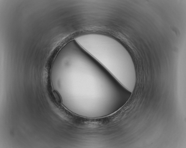 X0000113850448200909241008