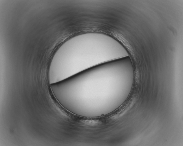 X0000113850449200909241008