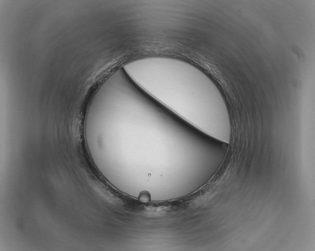 X0000113850450200909241008