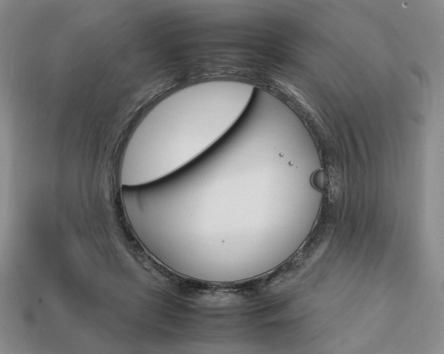 X0000113850451200909241008