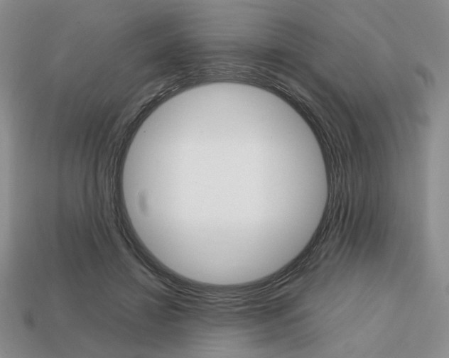 X0000113850452200909241008
