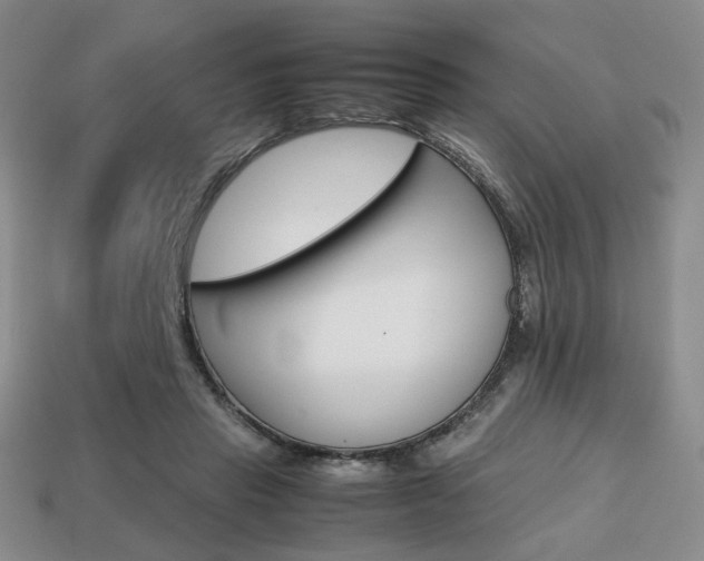 X0000113850453200909241008