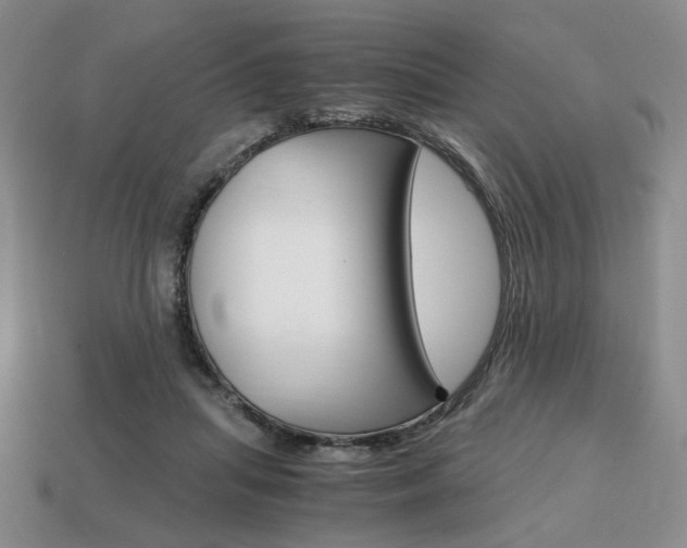X0000113850455200909241008