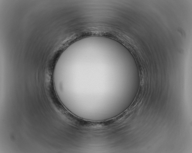 X0000113850456200909241008