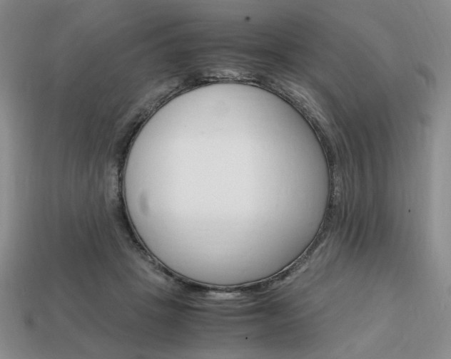 X0000113850457200909241008
