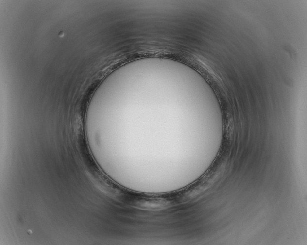 X0000113850459200909241008