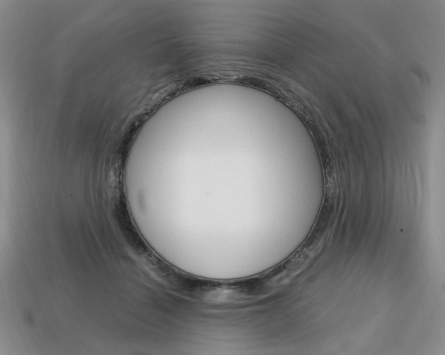 X0000113850460200909241008