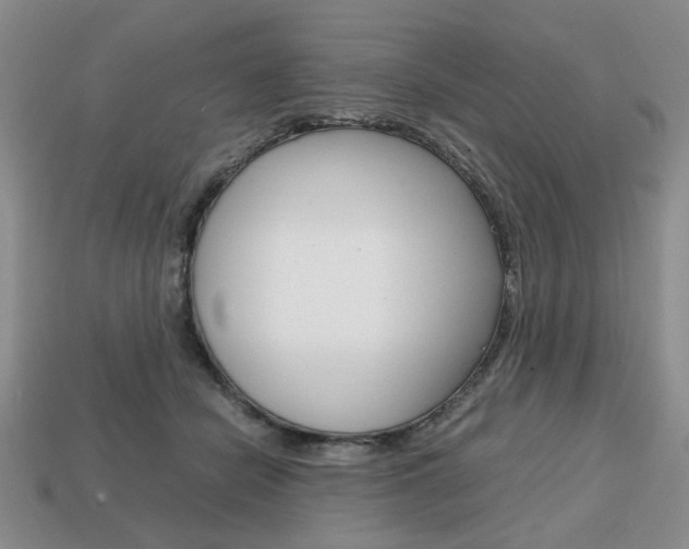 X0000113850462200909241008