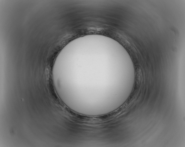 X0000113850463200909241008