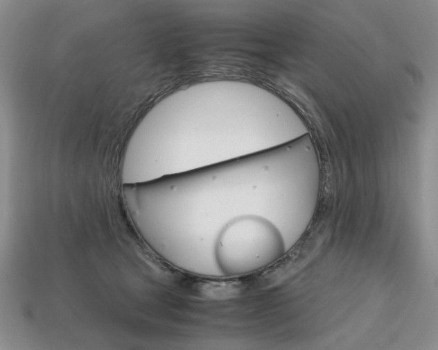 X0000113850465200909241008