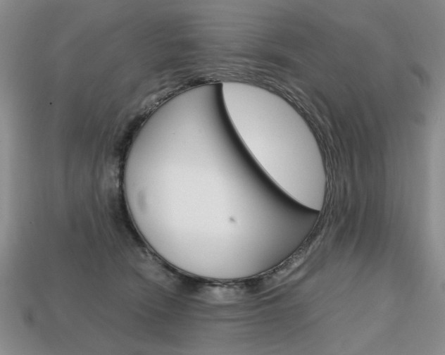 X0000113850466200909241008