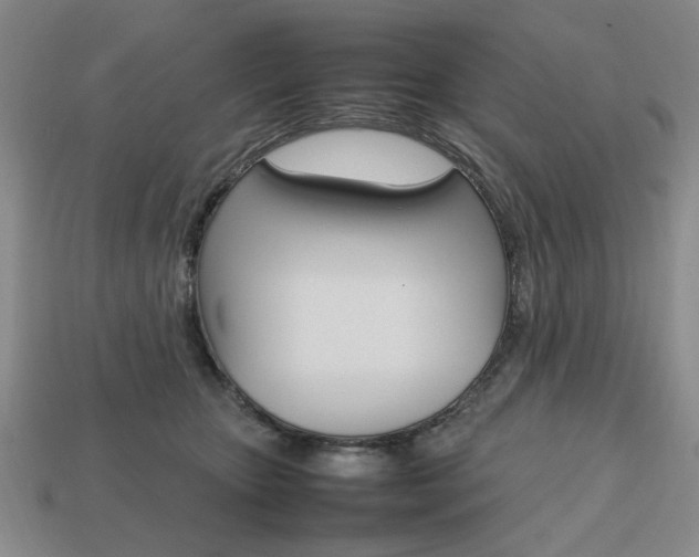 X0000113850467200909241008