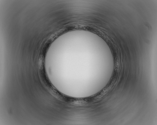X0000113850468200909241008