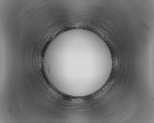 X0000113850470200909241008