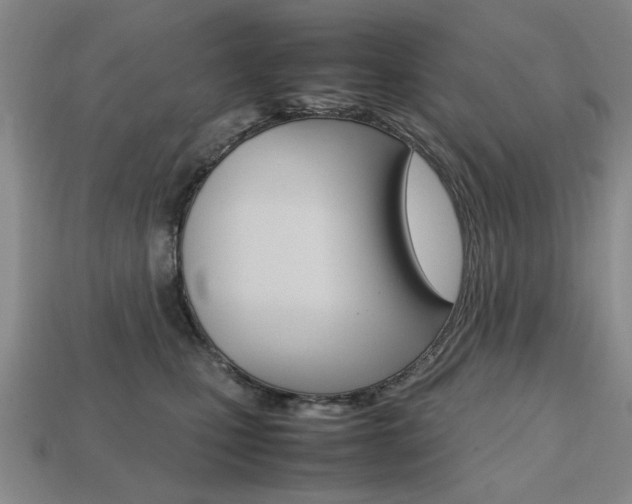 X0000113850471200909241009