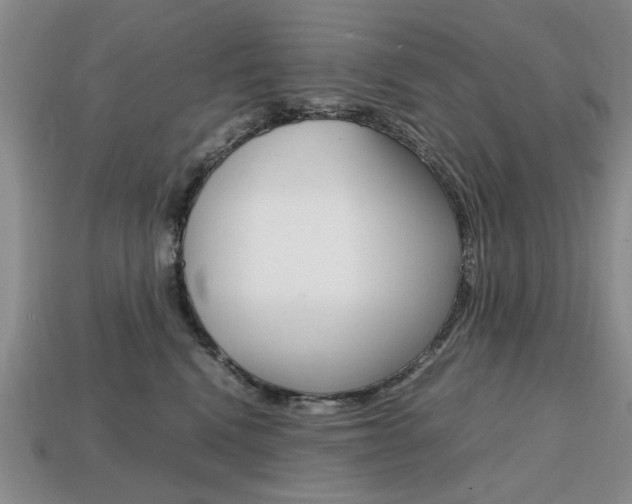 X0000113850472200909241009