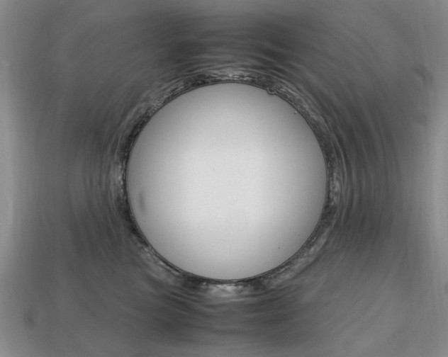 X0000113850473200909241009