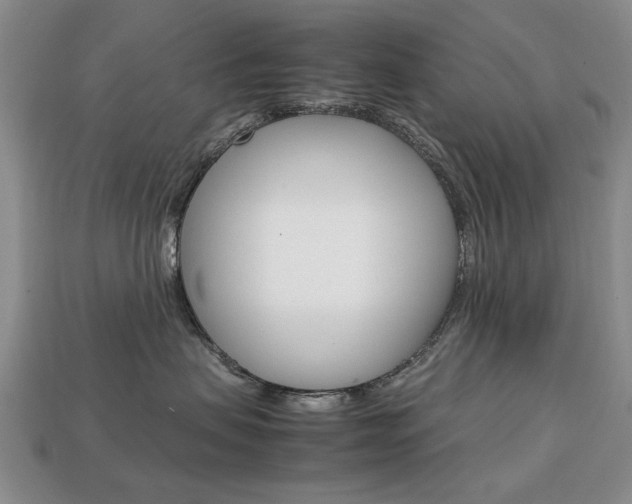 X0000113850479200909241009