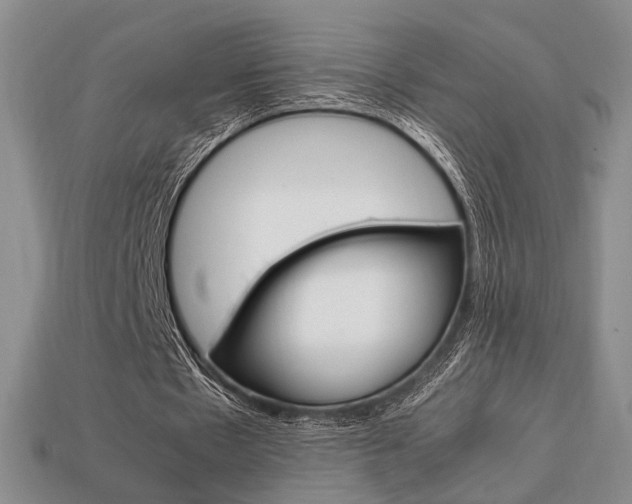 X0000113850481200909241008