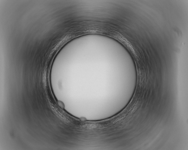 X0000113850482200909241008