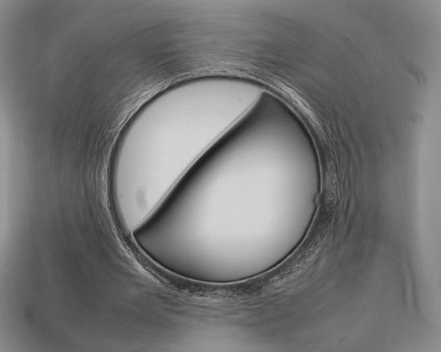 X0000113850485200909241008