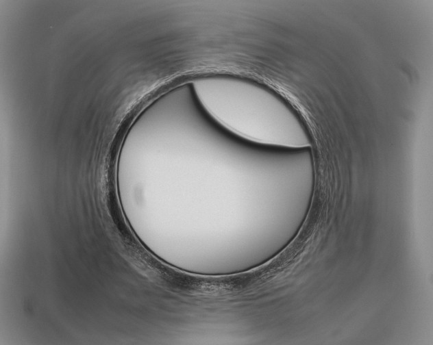 X0000113850487200909241008