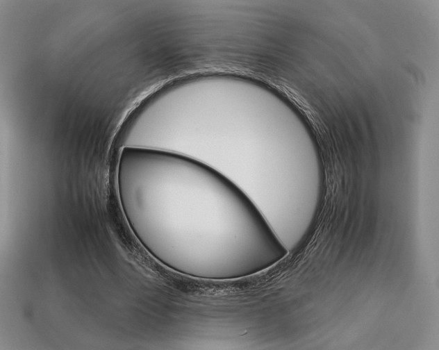 X0000113850488200909241008