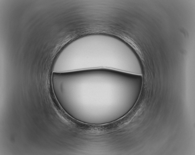 X0000113850489200909241008