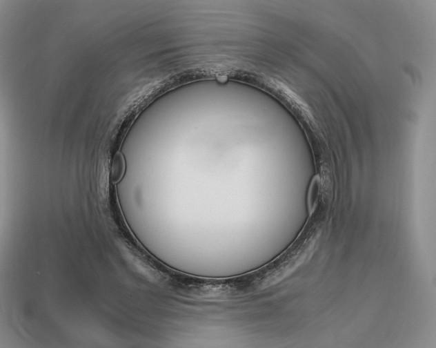 X0000113850493200909241008