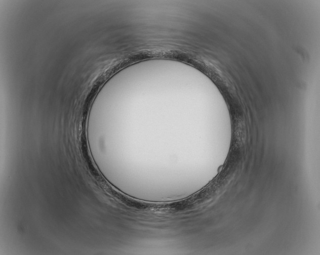 X0000113850495200909241008