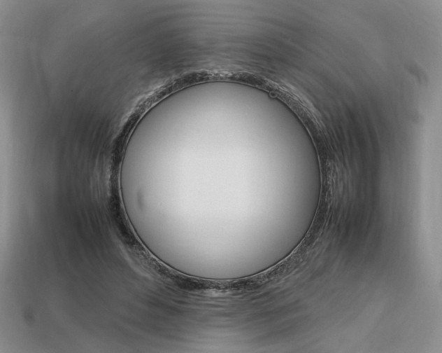 X0000113850496200909241008
