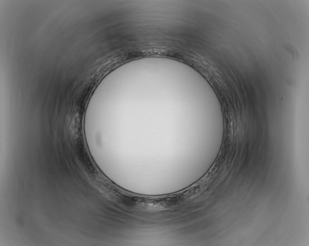 X0000113850498200909241008