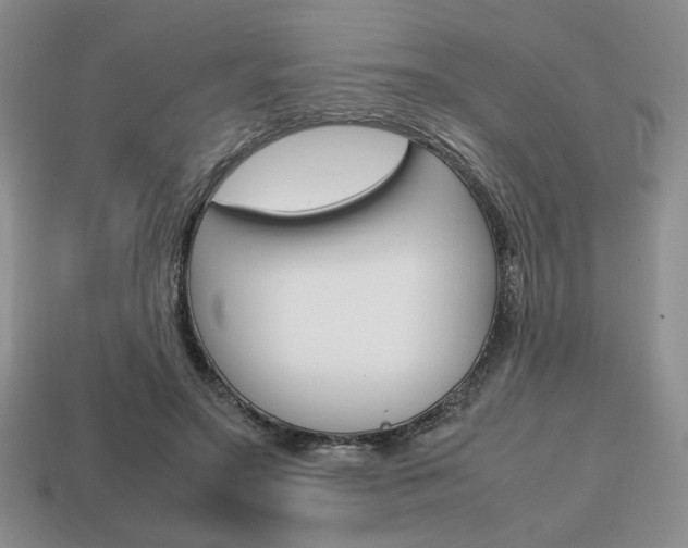 X0000113850499200909241008