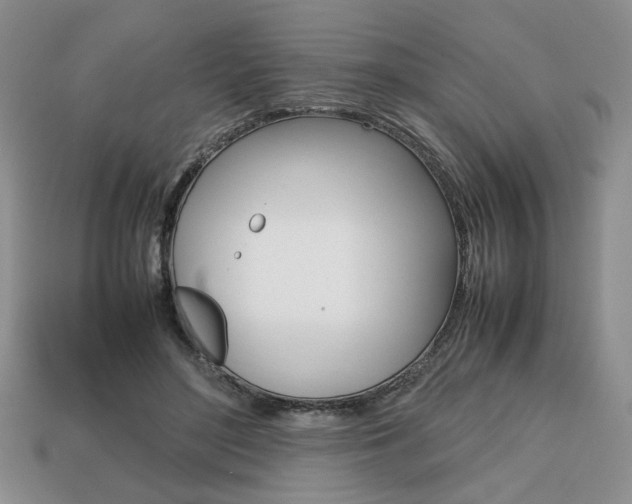 X0000113850500200909241008